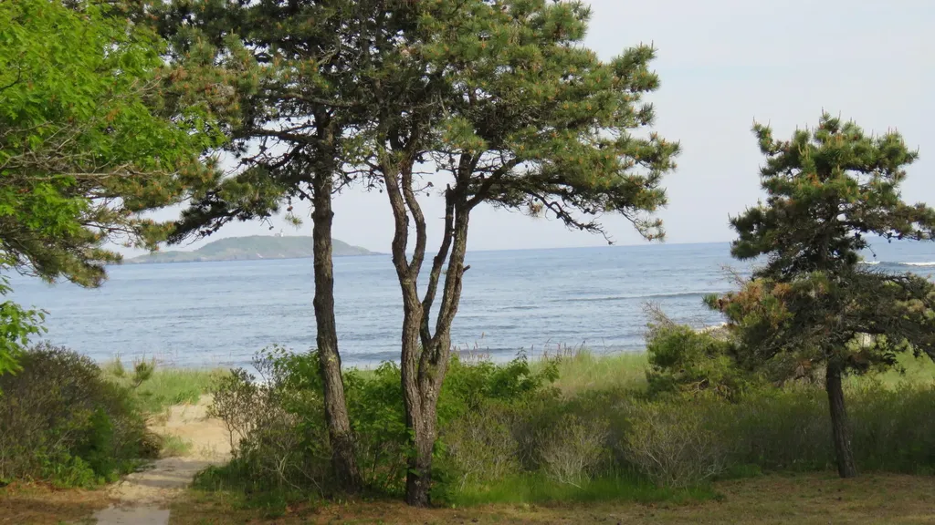 823 Popham Road Phippsburg ME 04562