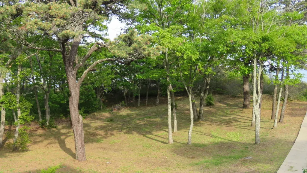 823 Popham Road Phippsburg ME 04562