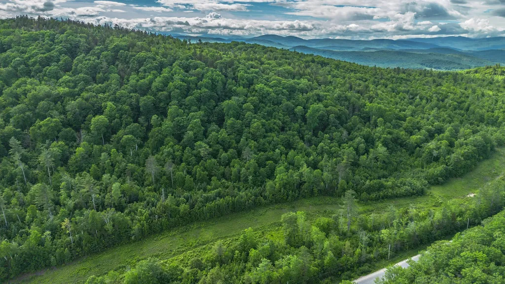 Lot 61.2 Hunts Corner Road Albany Twp ME 04092