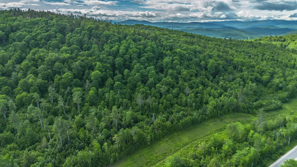 Lot 61.2 Hunts Corner Road Albany Twp ME 04092