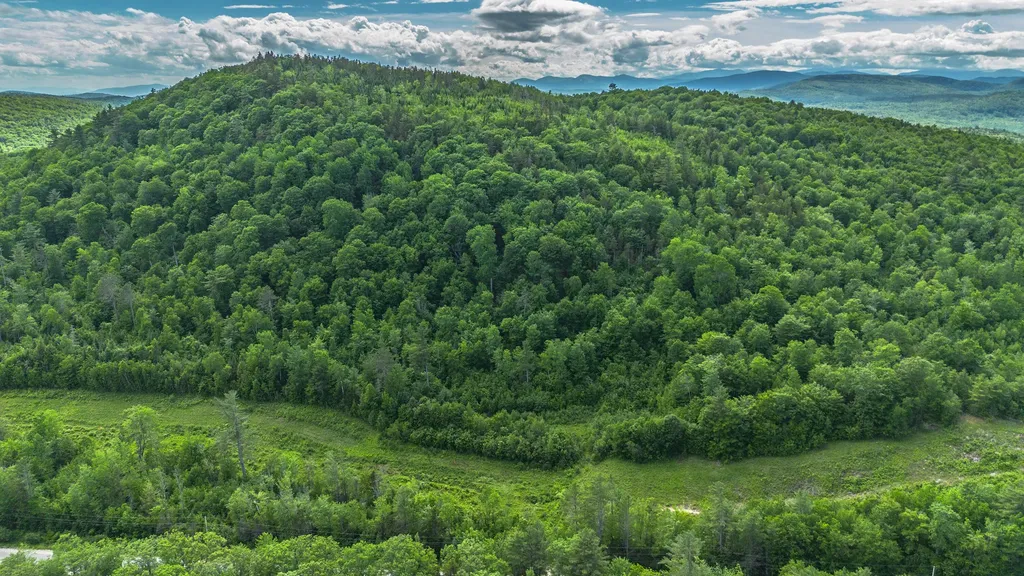 Lot 61.2 Hunts Corner Road Albany Twp ME 04092