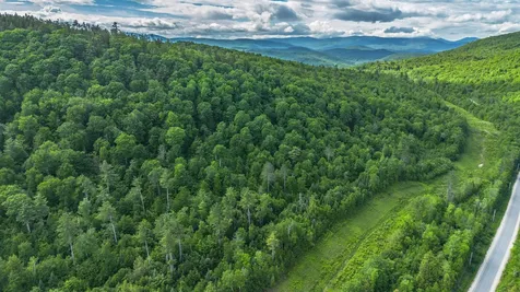 Lot 61.2 Hunts Corner Road Albany Twp ME 04092