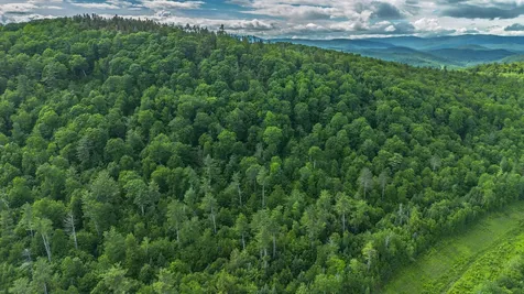 Lot 61.2 Hunts Corner Road Albany Twp ME 04092