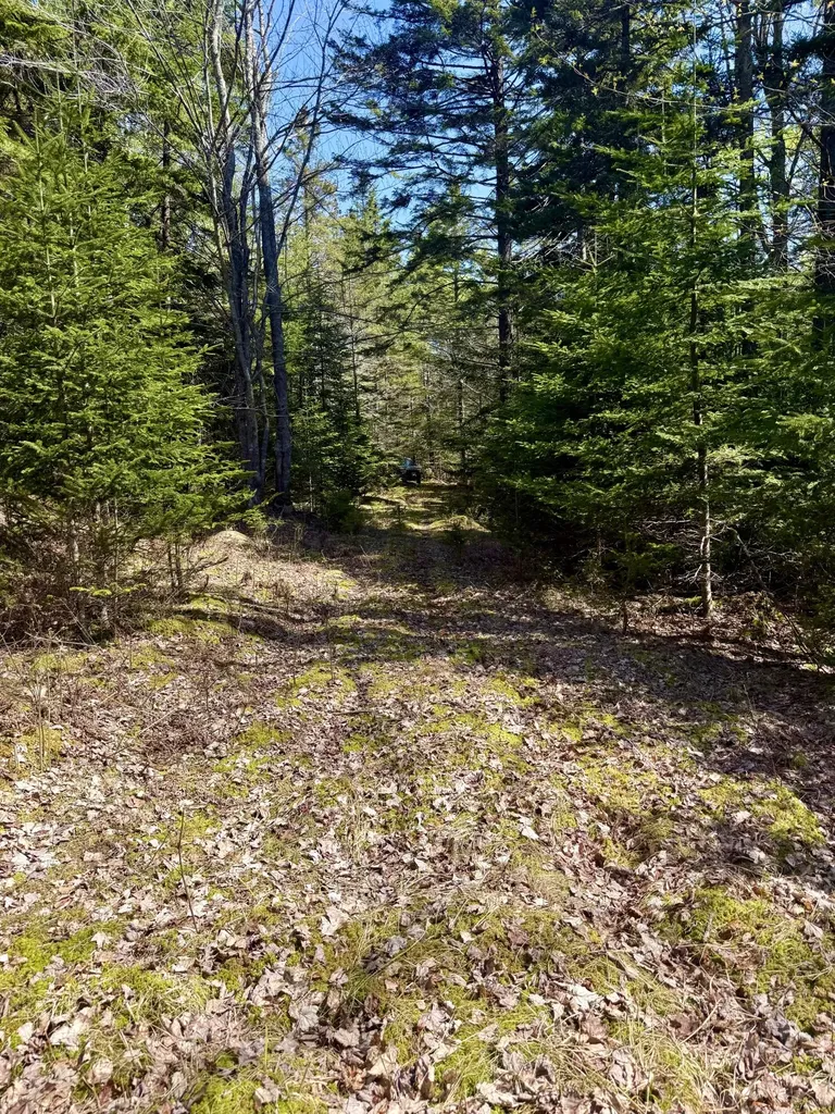 7 Young Road Vinalhaven ME 04863