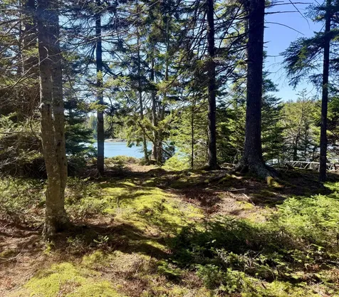 7 Young Road Vinalhaven ME 04863