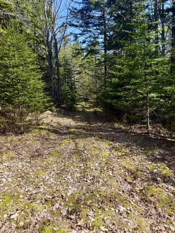 7 Young Road Vinalhaven ME 04863