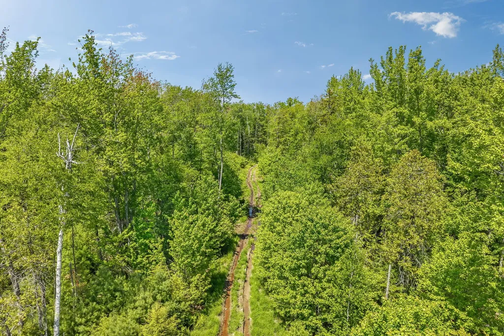 Lot 99 Center Drive Orrington ME 04474