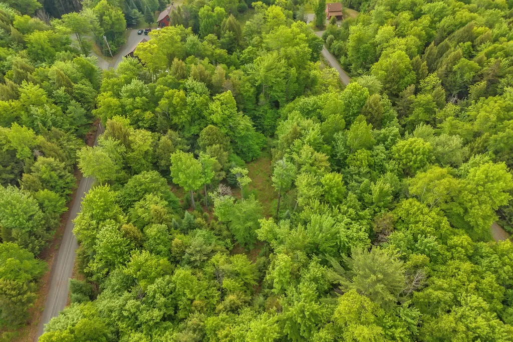 Lot 10 Deer Drive Embden ME 04958