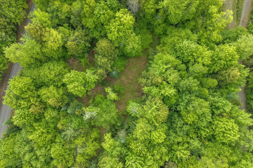 Lot 10 Deer Drive Embden ME 04958
