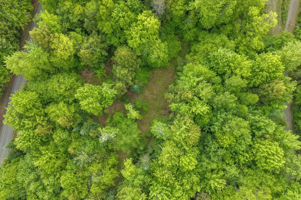 Lot 10 Deer Drive Embden ME 04958