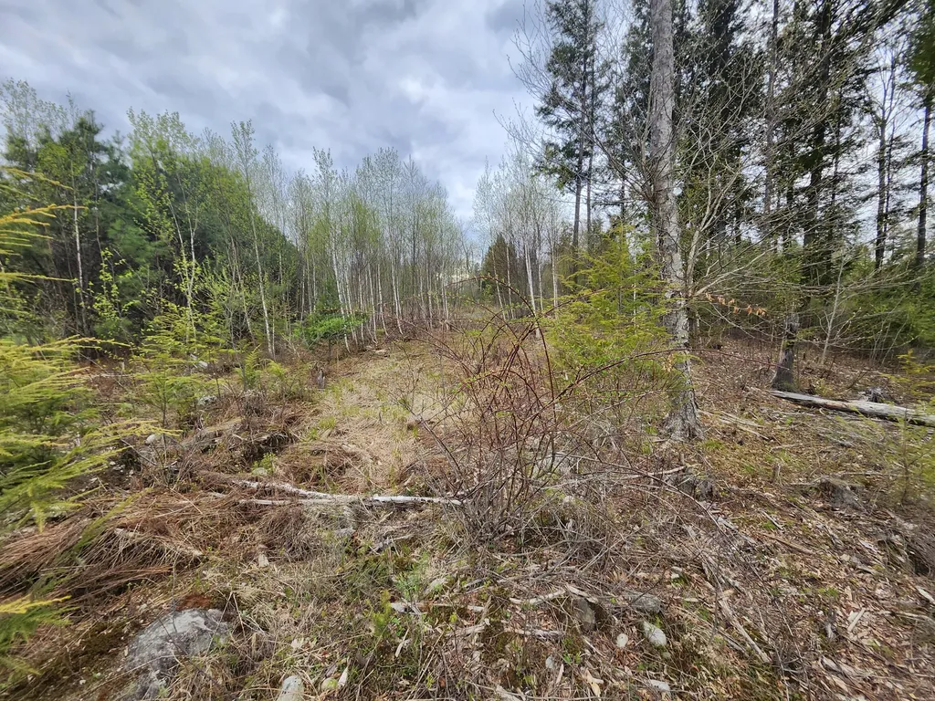 Lot 10 Deer Drive Embden ME 04958
