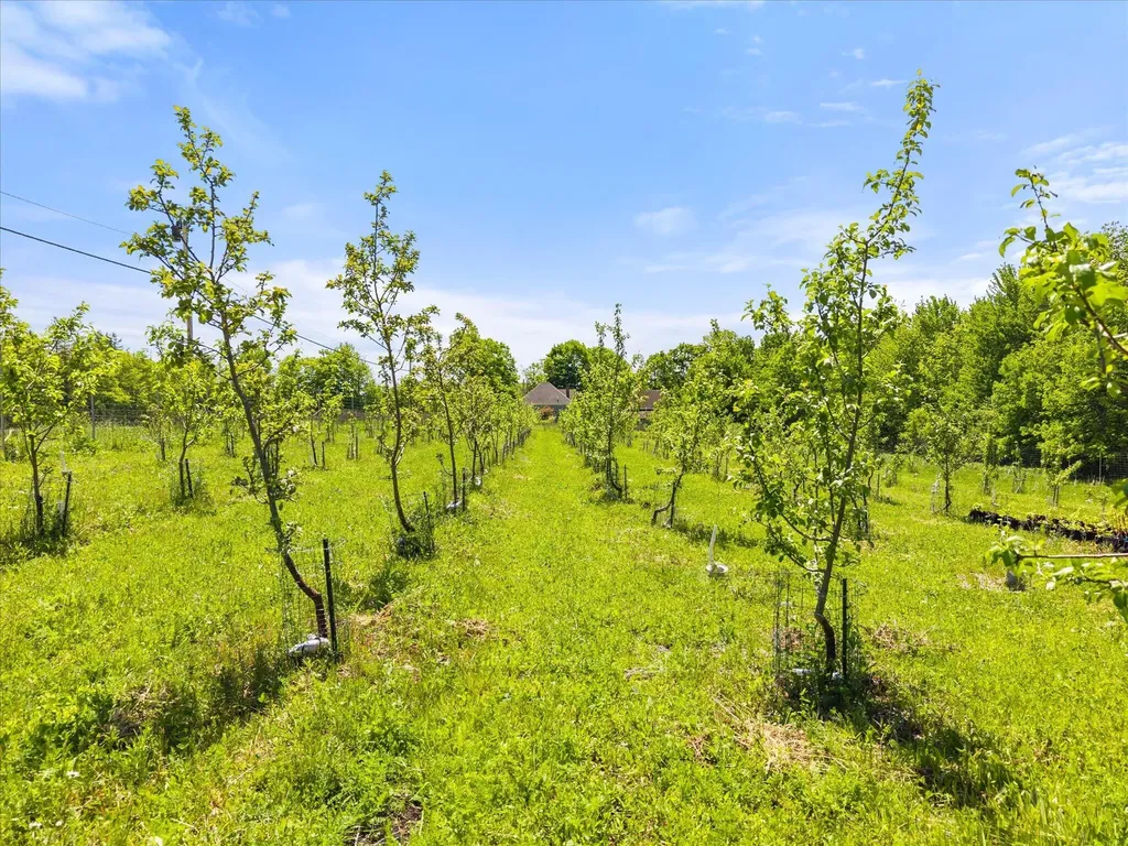 468 Hinckley Ridge Road Blue Hill ME 04614