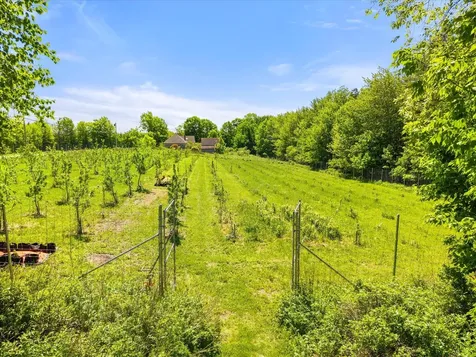 468 Hinckley Ridge Road Blue Hill ME 04614