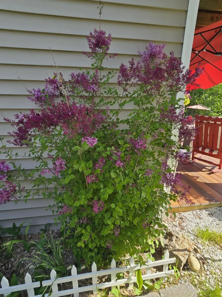 28 Fox Run Lamoine ME 04605