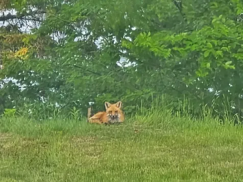 28 Fox Run Lamoine ME 04605