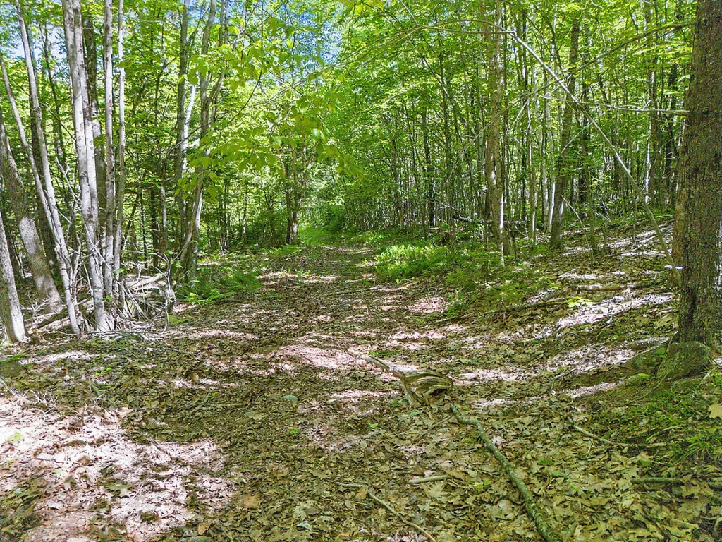 544 Whitefield Road Pittston ME 04345