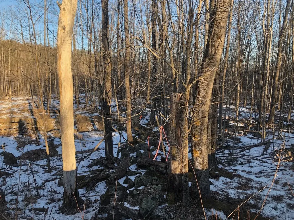 L25 Canton Mountain Road Jay ME 04239