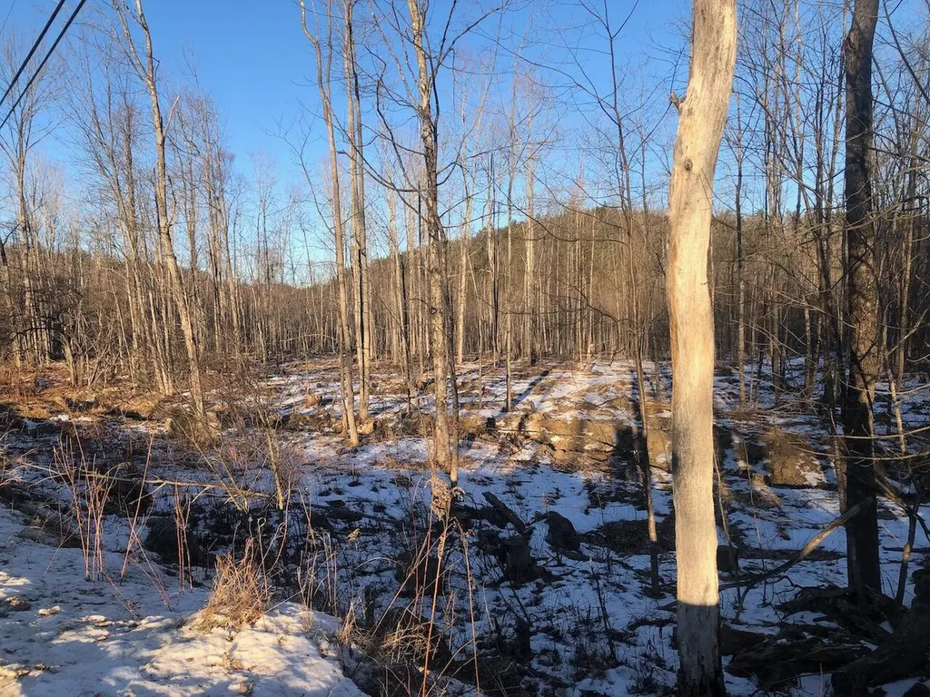 L25 Canton Mountain Road Jay ME 04239