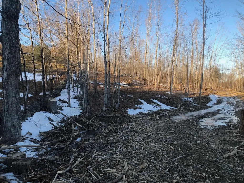 L25 Canton Mountain Road Jay ME 04239