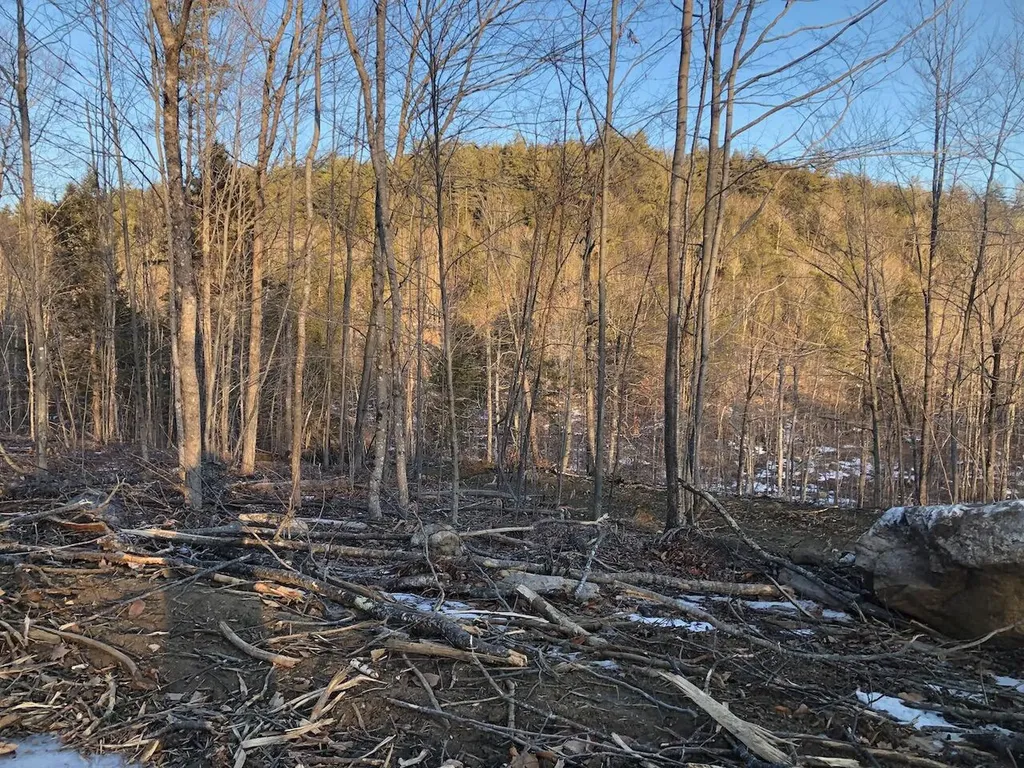 L25 Canton Mountain Road Jay ME 04239
