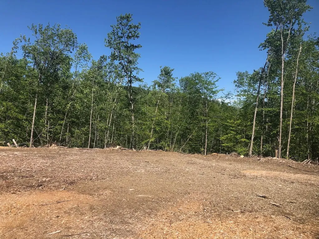 L25 Canton Mountain Road Jay ME 04239