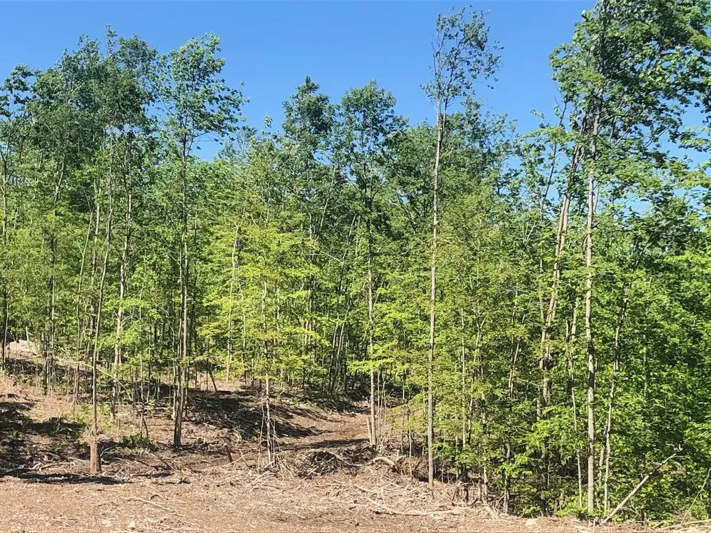 L25 Canton Mountain Road Jay ME 04239