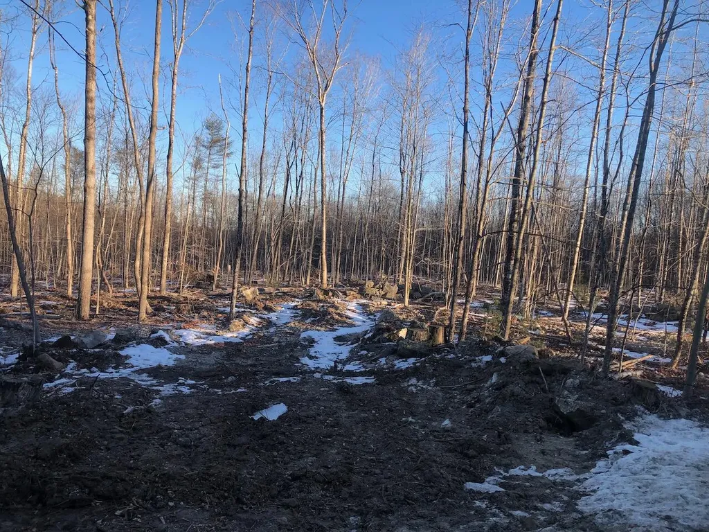 L25 Canton Mountain Road Jay ME 04239