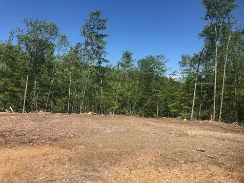 L25 Canton Mountain Road Jay ME 04239