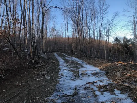 L25 Canton Mountain Road Jay ME 04239