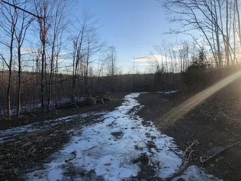 L25 Canton Mountain Road Jay ME 04239