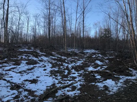 L25 Canton Mountain Road Jay ME 04239