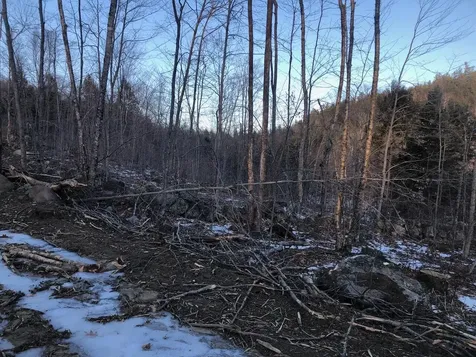 L25 Canton Mountain Road Jay ME 04239