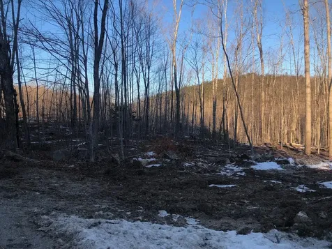 L25 Canton Mountain Road Jay ME 04239