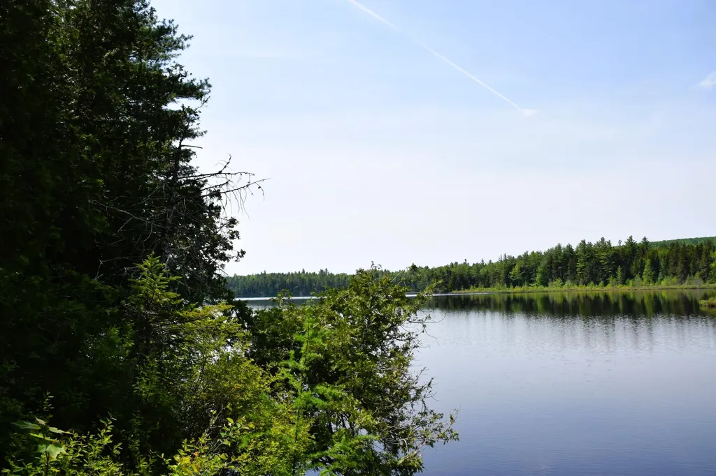 MS03L17.3 Carry Pond Road Carrying Place Twp ME 04961