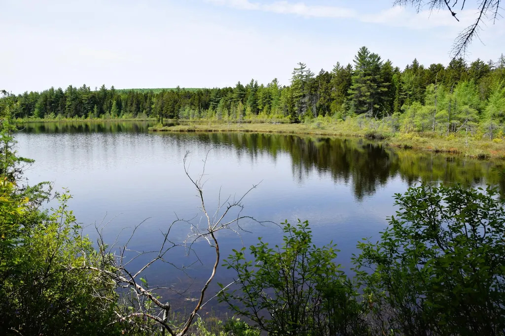 MS03L17.3 Carry Pond Road Carrying Place Twp ME 04961