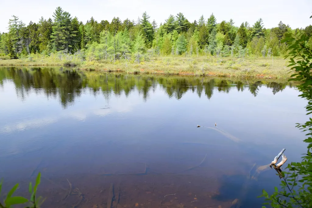 MS03L17.3 Carry Pond Road Carrying Place Twp ME 04961