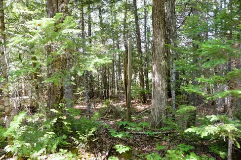 MS03L17.3 Carry Pond Road Carrying Place Twp ME 04961