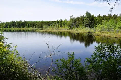 MS03L17.3 Carry Pond Road Carrying Place Twp ME 04961