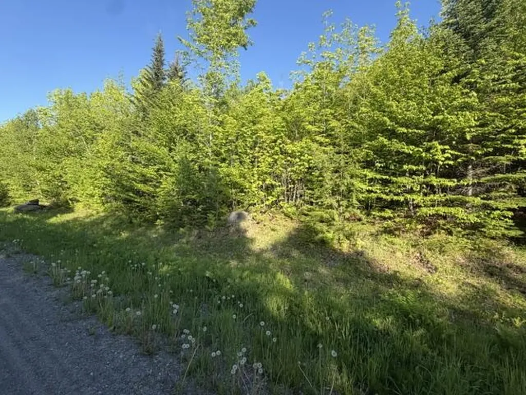 32 Bay View Drive Greenville ME 04441