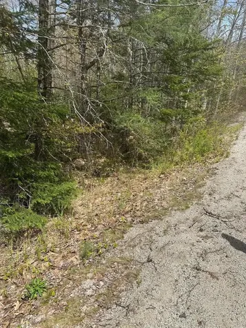 Lot 6 West Unionville Road Steuben ME 04680