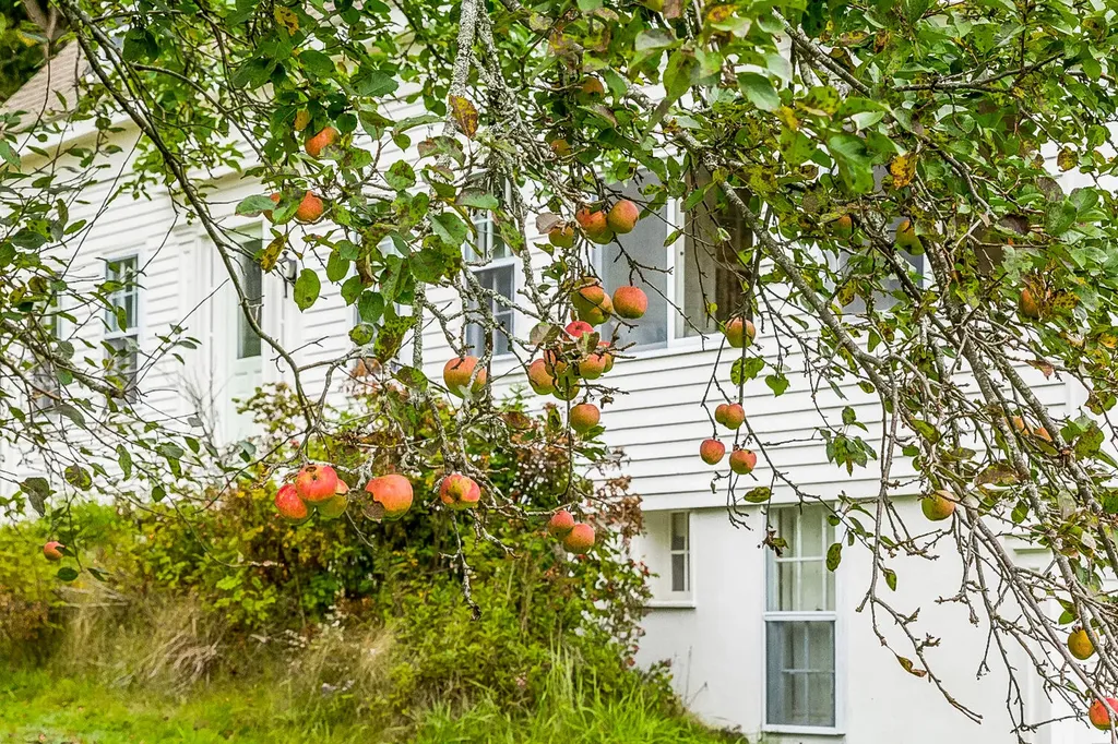 45 Bradley Road Westport Island ME 04578