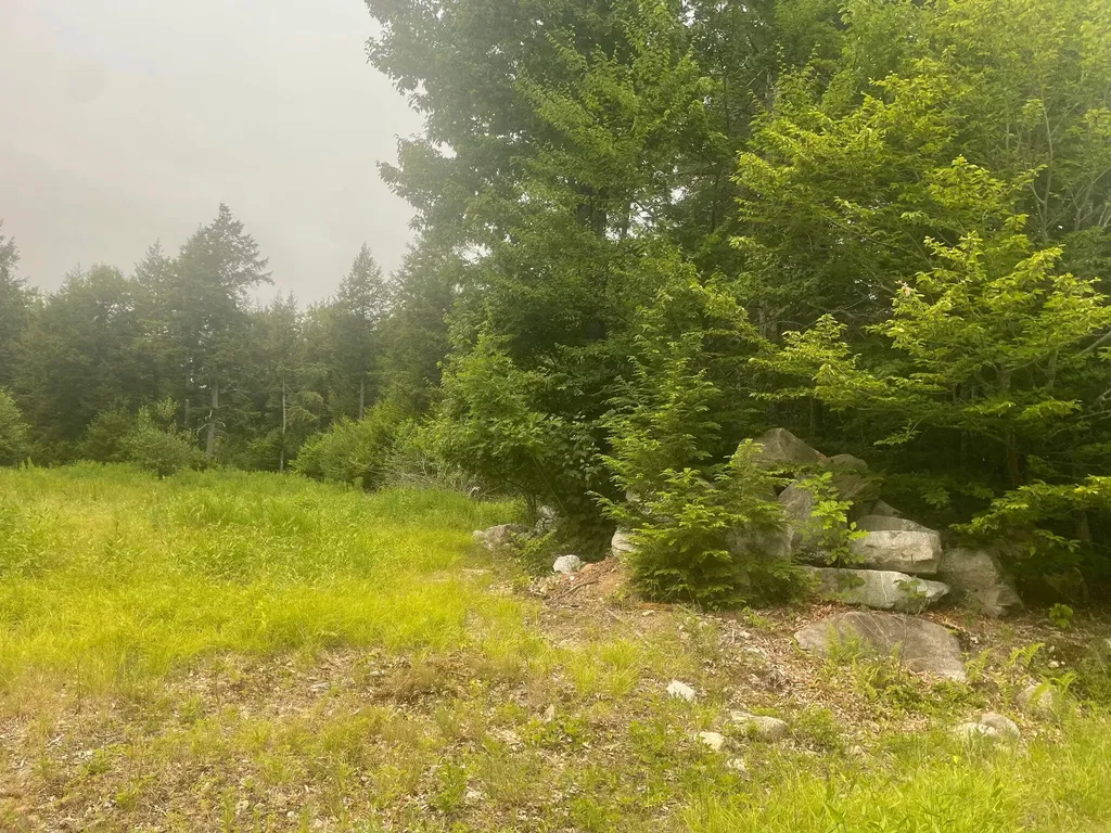 Lot 3a Allen Mountain Trail Denmark ME 04022