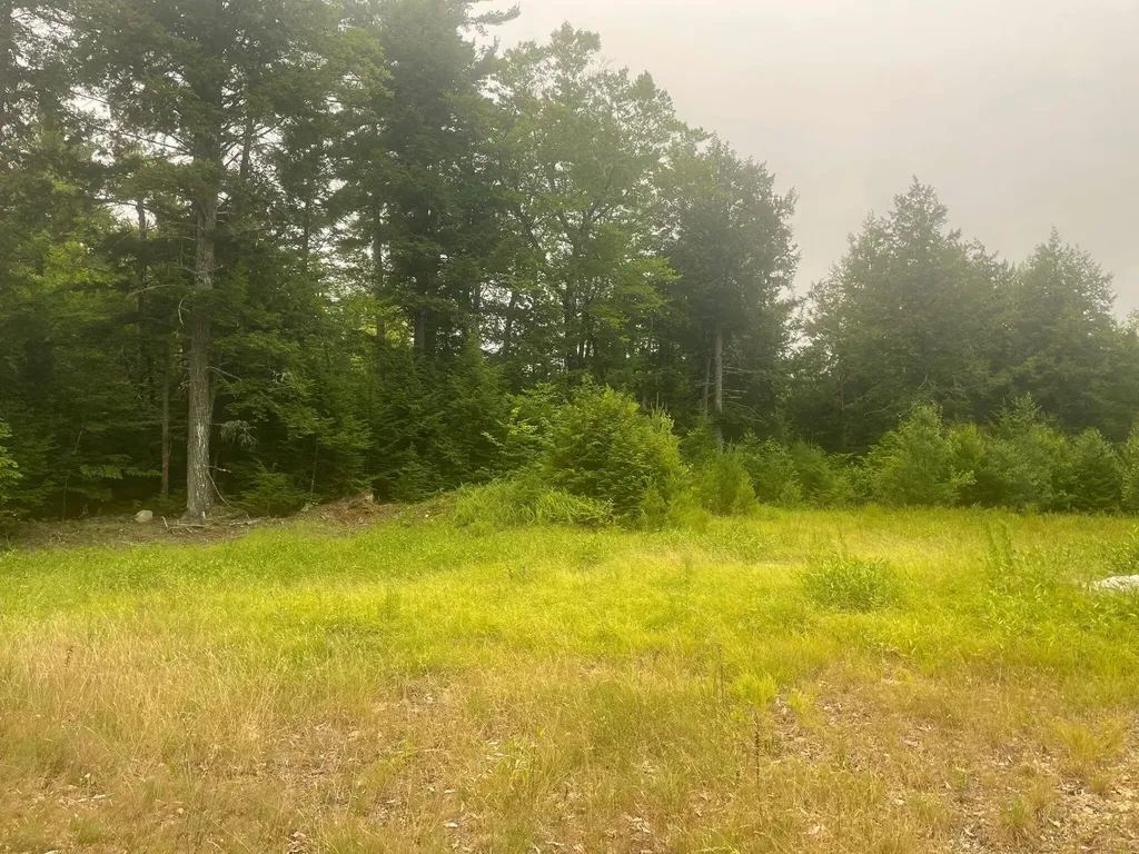 Lot 3a Allen Mountain Trail Denmark ME 04022