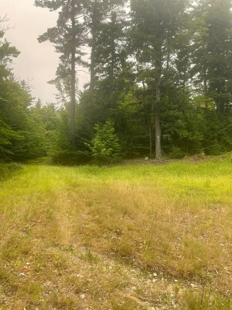Lot 3a Allen Mountain Trail Denmark ME 04022