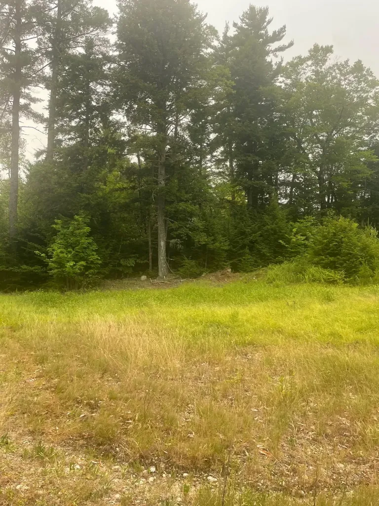 Lot 3a Allen Mountain Trail Denmark ME 04022
