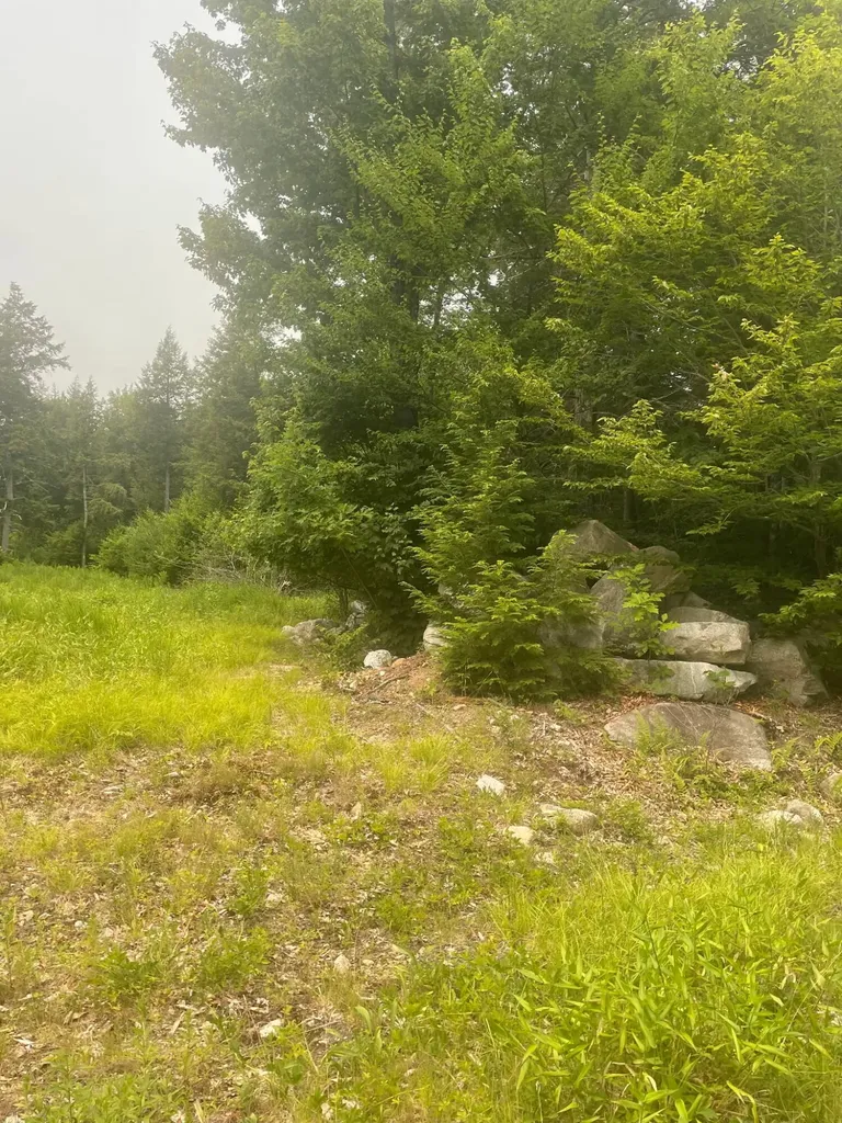 Lot 3a Allen Mountain Trail Denmark ME 04022