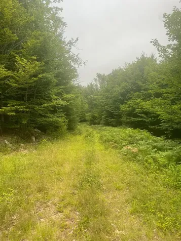 Lot 3a Allen Mountain Trail Denmark ME 04022