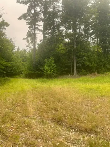 Lot 3a Allen Mountain Trail Denmark ME 04022