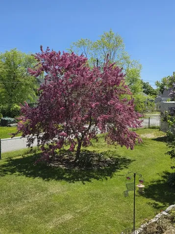 13 Norris Street Searsport ME 04974