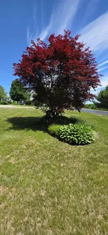 33 Eastern View Drive Turner ME 04282